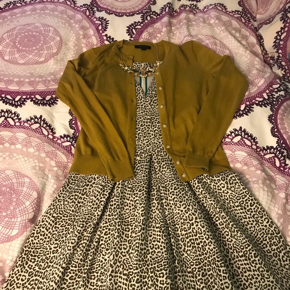 Banana Republic Dress Size 6P